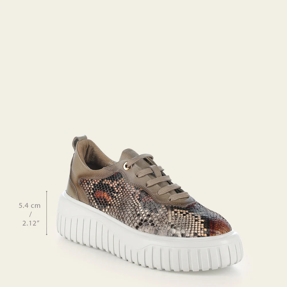 03LPBNA - Cuadra beige python sneakers for women